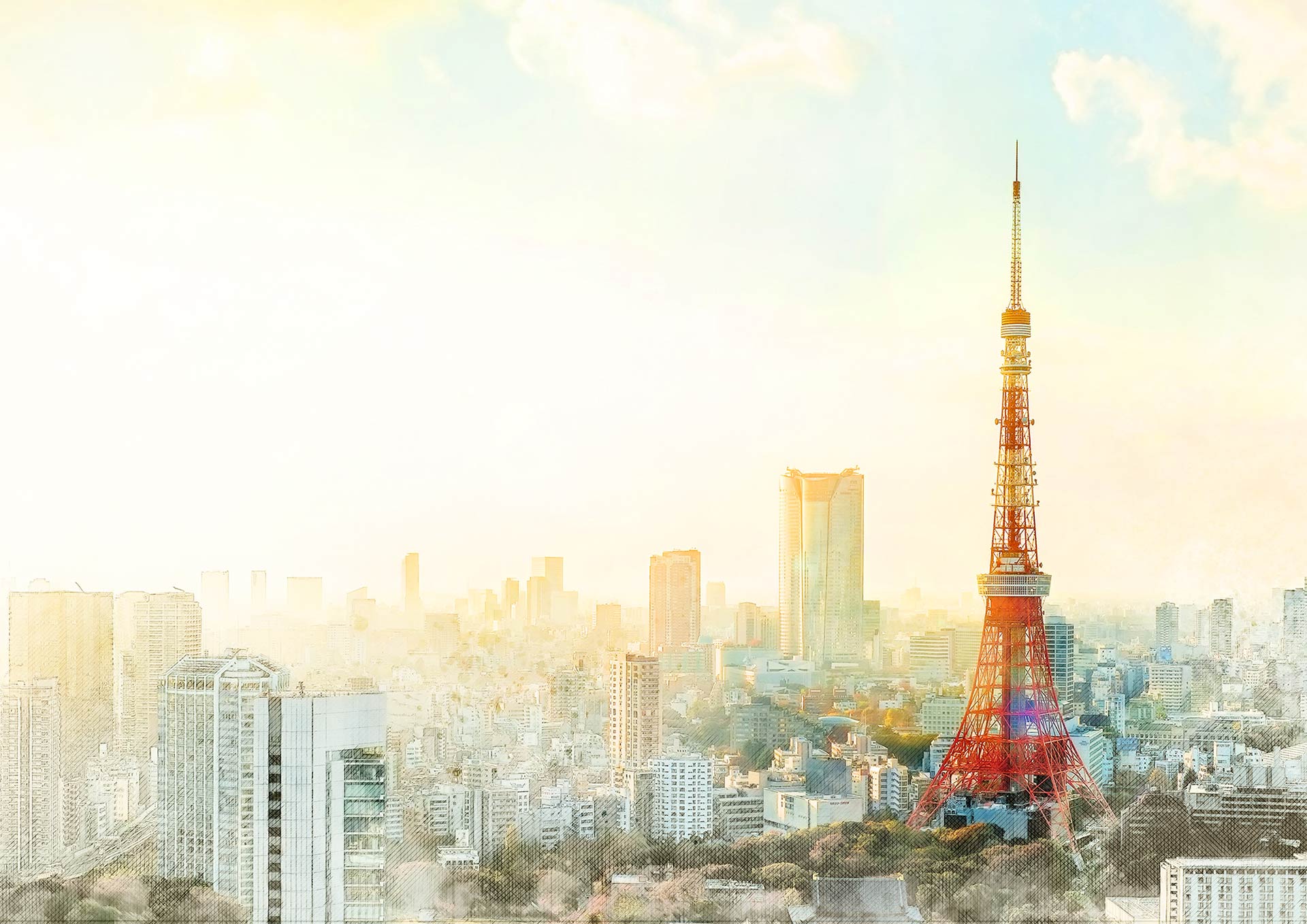 東京タワーの写真